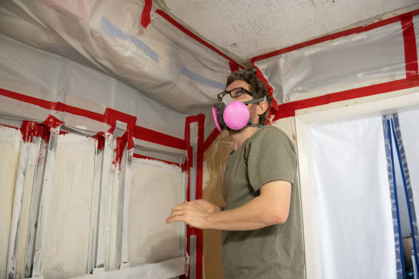 Trusted Englewood, NJ Mold Removal Experts